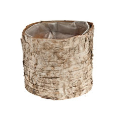 Opiflor Birkentopf Crusty, 10 cm Nature