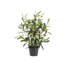 Botanic-Haus Kunstpflanze Olive 34 cm