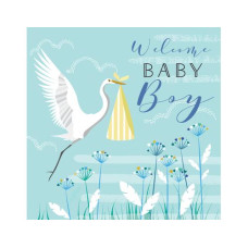 Cart Glückwunschkarte Welcome Baby Boy 16 x 16 cm