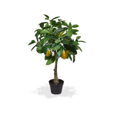 Botanic-Haus Kunstpflanze Zitronenbaum, 70 cm