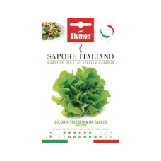 Blumen Samen Zichorie Triestina da Taglio Blumen Samen Zichorie Triestina da Taglio