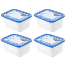 Rotho Vorratsbehälter Domino Dekor 4 Stück, 0.75 l, Transparent