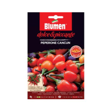 Blumen Samen Paprika Cancun Blumen Samen Paprika Cancun