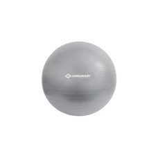 Schildkröt Fitness Gymnastikball 65 cm