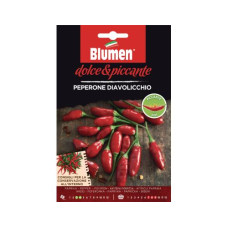 Blumen Samen Paprika Diavolicchio Blumen Samen Paprika Diavolicchio