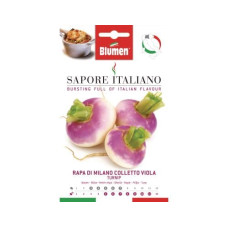 Blumen Samen Rübe di Milano Colletto Blumen Samen Rübe di Milano Colletto