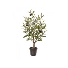 Botanic-Haus Kunstpflanze Olivenbaum, 60 cm