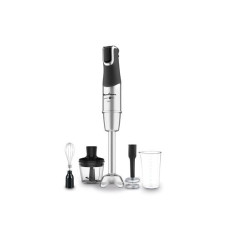 Moulinex Stabmixer Infinyforce Pro Mix Schwarz/Silber