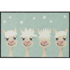 Salonlöwe Fussmatte Perfect Hair Day 50 cm x 75 cm