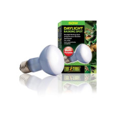 Exo Terra Terrarienlampe Daylight Basking Spot E27, R20/50W