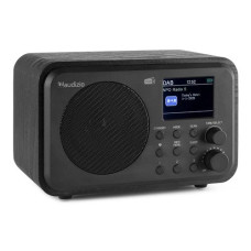 Audizio DAB+ Radio Milan Schwarz