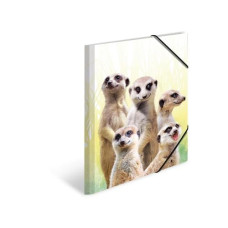 HERMA Gummibandmappe Erdmännchen A3, Mehrfarbig