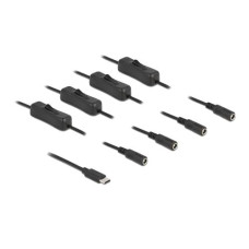 Delock Hohlstecker Kabel USB Type-C zu 4 x DC mit Schalter 1 m Delock Hohlstecker Kabel USB Type-C zu 4 x DC mit Schalter 1 m