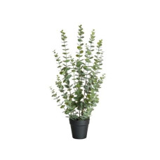 Botanic-Haus Kunstpflanze Eukalyptus 76 cm