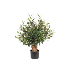 Botanic-Haus Kunstpflanze Olivenbaum 56 cm
