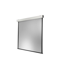 Celexon Motorleinwand Expert XL 350x350 cm 1:1