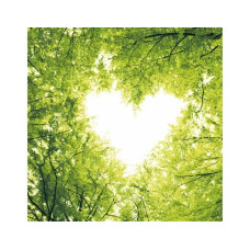 Paper + Design Papierservietten Nature Love 33 cm x 33 cm, 20 Stück Paper + Design Papierservietten Nature Love 33 cm x 33 cm, 20 Stück