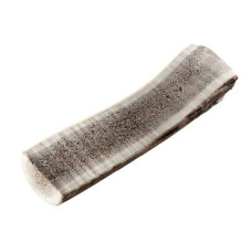 Chewies Rothirsch-Geweihstange L halb Chewies Rothirsch-Geweihstange L halb