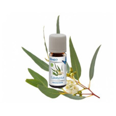 Venta Luftwäscher Duftöl Eukalyptus, 3 x 10 ml