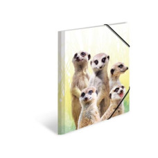 HERMA Gummibandmappe Erdmännchen A4, Mehrfarbig