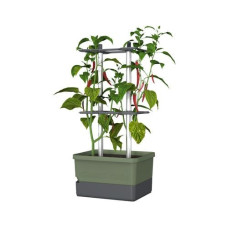 Gusta Garden Pflanzentopf CHARLY CHILI Starterset, Dunkelgrün Gusta Garden Pflanzentopf CHARLY CHILI Starterset, Dunkelgrün