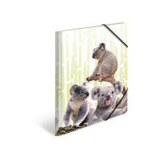 HERMA Gummibandmappe Koala A4, Mehrfarbig