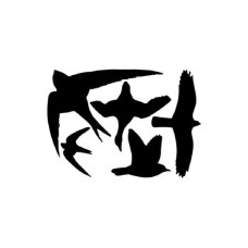Esschert Design Fensterfolie Vogelsilhouetten 23 x 33 cm