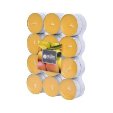 müller Kerzen Duftkerze Exotic Fruits 24 Stück