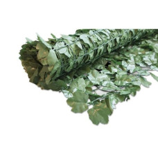 Windhager Sichtschutz Hecke Ahorn 1.5x3m grün