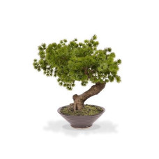 Botanic-Haus Kunstpflanze Bonsai Pinus mit Schale