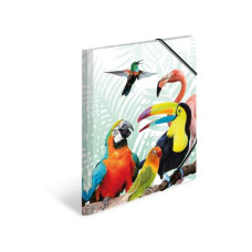 HERMA Gummibandmappe Papagei A4, Mehrfarbig