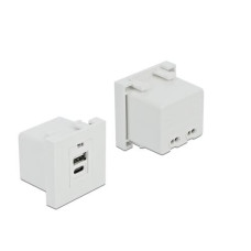 Delock Easy 45 USB Ladeportmodul 1 x USB Typ-A + 1 x USB Type-C Delock Easy 45 USB Ladeportmodul 1 x USB Typ-A + 1 x USB Type-C