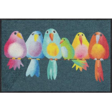 Salonlöwe Fussmatte Rainbow Birds 50 cm x 75 cm