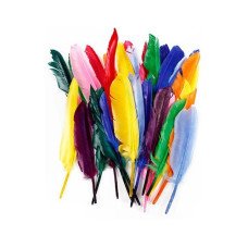 Creativ Company Federn 17 - 20 cm 250 Stück