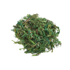HobbyFun Mini-Utensilien Moss 20g, Hellgrün