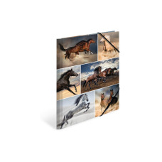 HERMA Gummibandmappe A4 Pferde, Karton, mit Innendruck