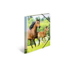 HERMA Gummibandmappe A4 Pferde, Polypropylen, mit Innendruck