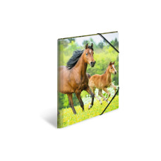 HERMA Gummibandmappe A3 Pferde, Polypropylen, mit Innendruck