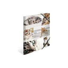 HERMA Gummibandmappe A4 Katzen, Karton, mit Innendruck