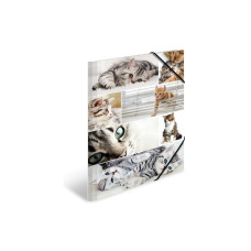 HERMA Gummibandmappe A3 Katzen, Karton, mit Innendruck