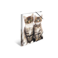 HERMA Gummibandmappe A4 Katzen, Polypropylen, mit Innendruck