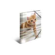HERMA Gummibandmappe A4 Katzen, Polypropylen, mit Innendruck