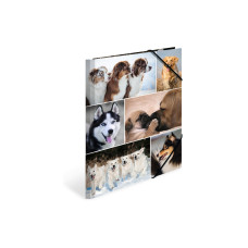HERMA Gummibandmappe A4 Hunde, Karton, mit Innendruck