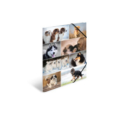 HERMA Gummibandmappe A3 Hunde, Karton, mit Innendruck