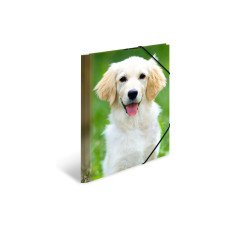 HERMA Gummibandmappe A4 Hunde, Polypropylen, mit Innendruck