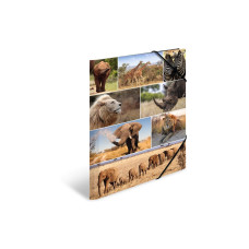 HERMA Gummibandmappe A3 Afrika, Karton, mit Innendruck