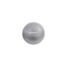 Schildkröt Fitness Gymnastikball 55 cm