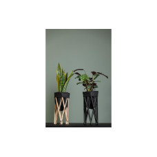 Neogard AG Pflanzenstativ Seda 30, Schwarz