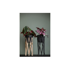 Neogard AG Pflanzenstativ Seda 50, Nature