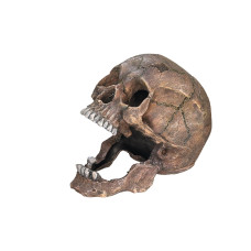 Nobby Aqua Ornaments Totenkopf, 13.5 x 20 x 16.5 cm